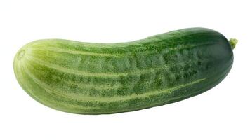 A single green cucumber with light and dark stripes isolated on white background photo
