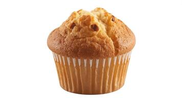 A single muffin in a paper cup with visible crumbs and a light brown color on white background photo