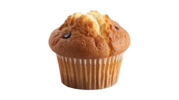 A single chocolate chip muffin in a white paper cup on a bright white background photo