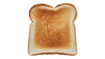 A single slice of toasted bread with a golden brown center on a white background photo