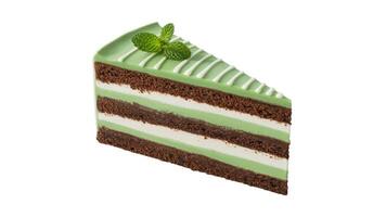 A slice of layered cake with green frosting and mint leaves on a white background view from side photo