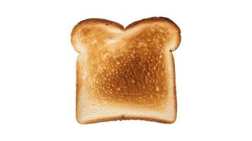 A single slice of toasted white bread on a plain white background in studio light photo
