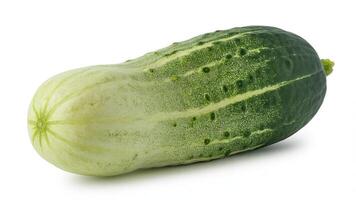Isolated image of a fresh cucumber with a light green and dark green gradient skin photo