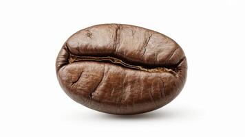 Close up of a single roasted coffee bean on a white background with visible cracks photo