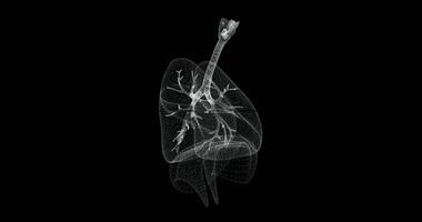 Hologram of the respiratory system of a human body - loop video