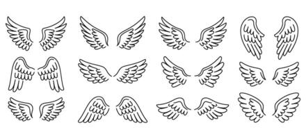 Set of Charming Angelic Feather Wings Ideal for Diverse Creative and Artistic Projects. vector