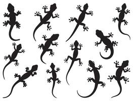GECKO SILHOUETTE ON WHITE BACKGROUND vector