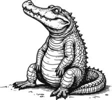 Alligator sketch Wildlife illustration Reptile. vector