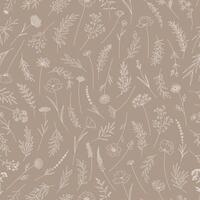 Meadow herbs and flowers. Floral illustration. Seamless pattern with wildflowers. Elegant botanical print in thin line, modern style design. Nature background for fabric, package, wrapping vector