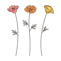 Set of colorful poppy flowers and leaves, vector