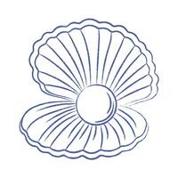 Pen drawn seashell on white background. Open sea shell with pearl inside. vintage element vector