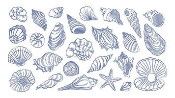 Set of seashells on white background. Trending doodles, twisted ornate shells. pen drawn vintage element vector