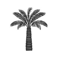 Palm Tree Silhouette Illustration. Tropical Nature And Relaxation Symbol. vector