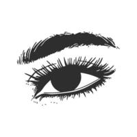 Eye With Eyebrow Silhouette Illustration. Vision And Expression vector