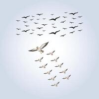 Birds flying in the sky design with abstract background vector
