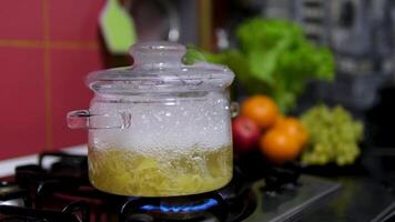 Pasta Boiling in Transparent Pot, Close Up video