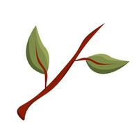tree branch with two green leaves in flat style, nature vector