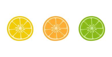 Colorful lemon, orange, and lime slices in flat graphic style, fruits, summer vector