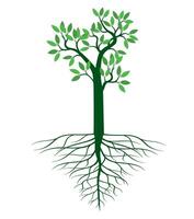 A tree drawn by hand. Green leaves on branches and roots. Outline Illustration. vector