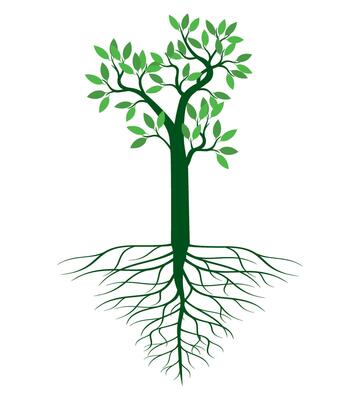 A tree drawn by hand. Green leaves on branches and roots. Outline Illustration.