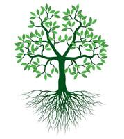 Shape Tree with green Leaves and Roots. Outline Illustration. vector