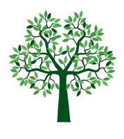 Shape Tree with green. Outline Illustration. vector