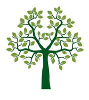Shape green Tree with Leaves and Roots. Outline Illustration. vector