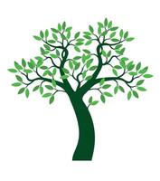 A tree drawn by hand. Green leaves on branches and curved trunk. vector