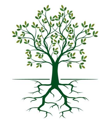 Shape of green Tree with Leaves and Roots outline Illustration.