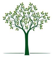 Shape of green Tree with Leaves ad Roots outline Illustration. vector