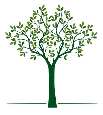 Shape of green Tree with Leaves ad Roots outline Illustration.