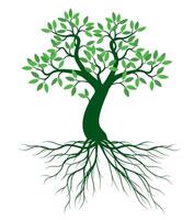A tree drawn by hand. Green leaves on branches, curved trunk and roots. vector