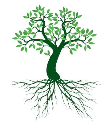 A tree drawn by hand. Green leaves on branches, curved trunk and roots.