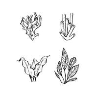 Underwater world clipart with shells, coral and algae. Graphic illustration hand drawn in black ink. Set of isolated objects vector