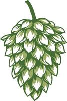 Illustration of hop cone or green pine cone with natural details, without background vector