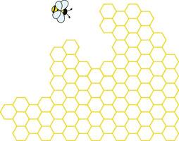Bee and honeycomb pattern cartoon . vector