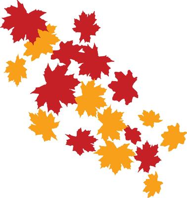 Falling autumn maple leaves.