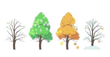 Set of four seasons of chestnut tree vector