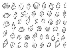 Pearl shell icon set. Shell coloring pages set for kids. Black shell icons. Summer doodle outline coloring isolated on white background. vector