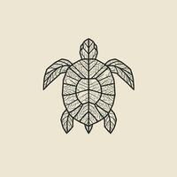Logo design of a turtle shown in a line drawing vector