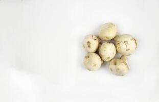 Five champignons on a white background photo