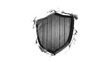 Digital Data Security Shield Icon video
