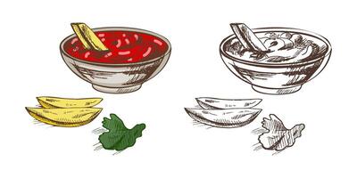 Hand drawn vintage sketch of potato wedges with red dipping sauce and parsley leaf, colored illustration vector