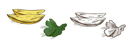 Hand drawn vintage seamless pattern of potato wedges and parsley leaf in color and monochrome version vector