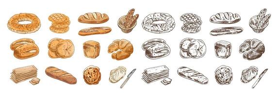 Hand drawn vintage sketch of assorted bakery goods in color and monochrome, rustic bread and pastry vector