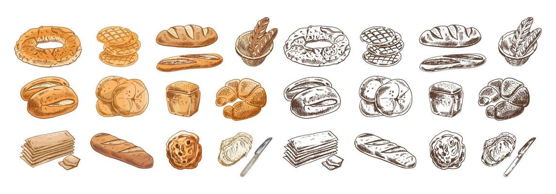 Hand drawn vintage sketch of assorted bakery goods in color and monochrome, rustic bread and pastry
