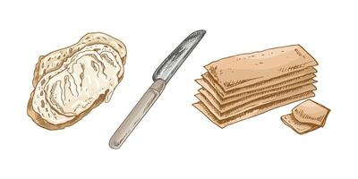 Hand drawn vintage sketch of buttered toast, spreading knife and sliced bread in color, isolated illustration vector