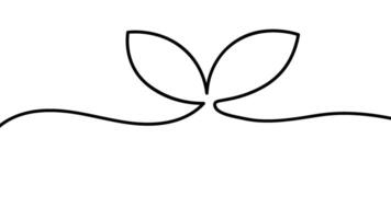 Minimalist Line Art Depicting Leaves and Smooth Flowing Lines vector