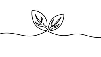 Minimalist Line Drawing of Leaves on a Smooth Curved Line vector