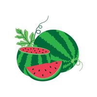 Set of different watermelon slices, whole watermelon. Natural tropical product, ripe red watermelon vector